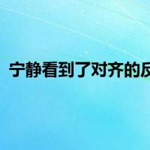 宁静看到了对齐的反应