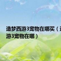 造梦西游3宠物在哪买(造梦西游3宠物在哪)