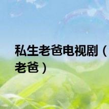 私生老爸电视剧（私生老爸）