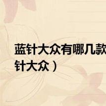 蓝针大众有哪几款（蓝针大众）