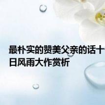 最朴实的赞美父亲的话十一月四日风雨大作赏析