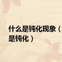 什么是钝化现象（什么是钝化）