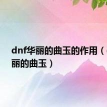 dnf华丽的曲玉的作用(dnf华丽的曲玉)