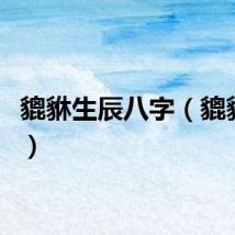 貔貅生辰八字（貔貅生日）