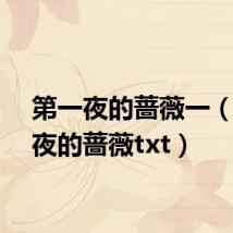 第一夜的蔷薇一(第一夜的蔷薇txt)