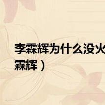李霖辉为什么没火（李霖辉）
