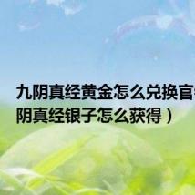 九阴真经黄金怎么兑换官银(九阴真经银子怎么获得)