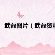 武磊图片（武磊资料）