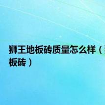 狮王地板砖质量怎么样(狮王地板砖)