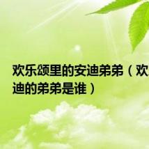 欢乐颂里的安迪弟弟(欢乐颂安迪的弟弟是谁)