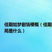 佳期如梦剧情梗概(佳期如梦结局是什么)