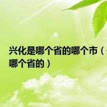 兴化是哪个省的哪个市(兴化是哪个省的)