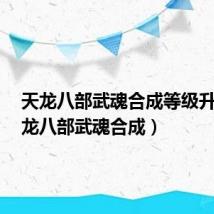 天龙八部武魂合成等级升7(天龙八部武魂合成)