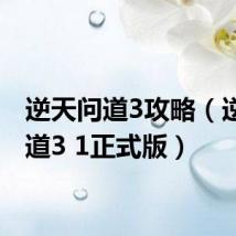 逆天问道3攻略(逆天问道3 1正式版)
