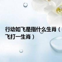 行动如飞是指什么生肖(行动如飞打一生肖)