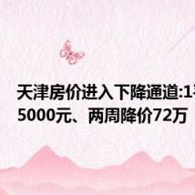 天津房价进入下降通道:1平米降5000元、两周降价72万