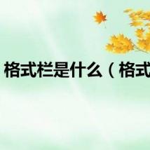 格式栏是什么（格式栏）