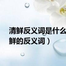 清鲜反义词是什么（清鲜的反义词）