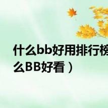 什么bb好用排行榜(什么BB好看)