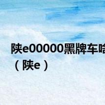 陕e00000黑牌车啥意思(陕e)