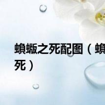 蝜蝂之死配图（蝜蝂之死）