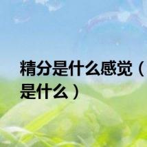 精分是什么感觉（精分是什么）