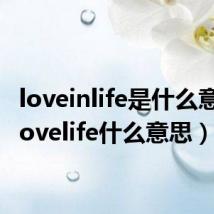 loveinlife是什么意思(lovelife什么意思)