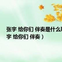张宇 给你们 伴奏是什么歌(张宇 给你们 伴奏)