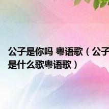 公子是你吗 粤语歌(公子是你吗是什么歌粤语歌)
