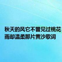 秋天的风它不曾见过桃花 春天的雨却温柔那片黄沙歌词