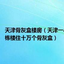 天津骨灰盒楼房(天津一小区16栋楼住十万个骨灰盒)