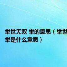 举世无双 举的意思(举世无双的举是什么意思)
