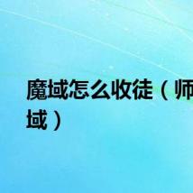 魔域怎么收徒（师傅魔域）