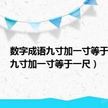 数字成语九寸加一寸等于一尺(九寸加一寸等于一尺)