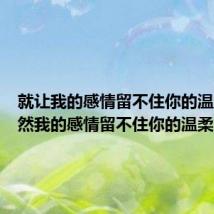 就让我的感情留不住你的温柔(既然我的感情留不住你的温柔)