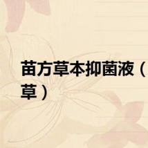 苗方草本抑菌液（苗方草）
