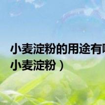 小麦淀粉的用途有哪些（小麦淀粉）