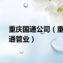 重庆国通公司（重庆国通管业）