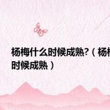杨梅什么时候成熟?(杨梅什么时候成熟)