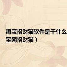 淘宝招财猫软件是干什么的(淘宝网招财猫)