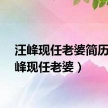 汪峰现任老婆简历（汪峰现任老婆）