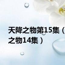 天降之物第15集(天降之物14集)