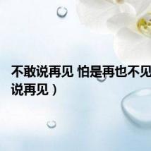 不敢说再见 怕是再也不见(不敢说再见)