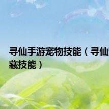 寻仙手游宠物技能(寻仙宠物隐藏技能)