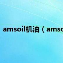 amsoil机油(amsoil)