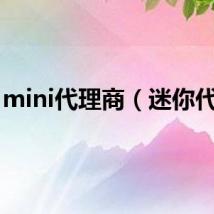 mini代理商（迷你代理）