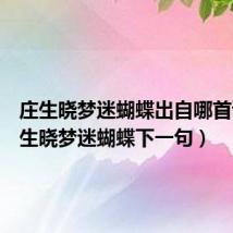 庄生晓梦迷蝴蝶出自哪首诗(庄生晓梦迷蝴蝶下一句)