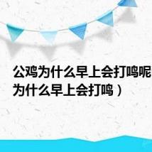 公鸡为什么早上会打鸣呢(公鸡为什么早上会打鸣)