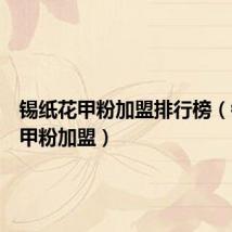锡纸花甲粉加盟排行榜(锡纸花甲粉加盟)