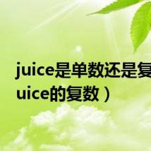 juice是单数还是复数(juice的复数)